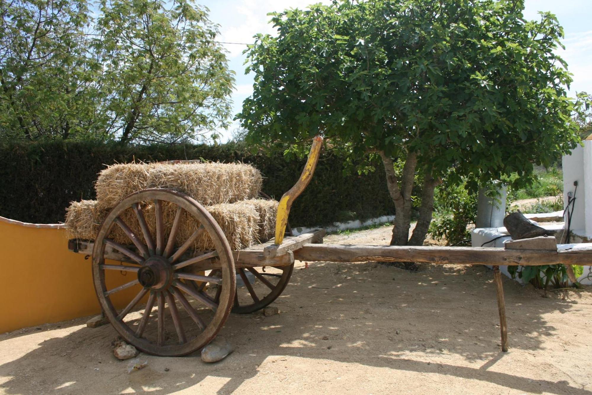كونيل ذي لا فرونتيرا Hacienda Los Majadales المظهر الخارجي الصورة