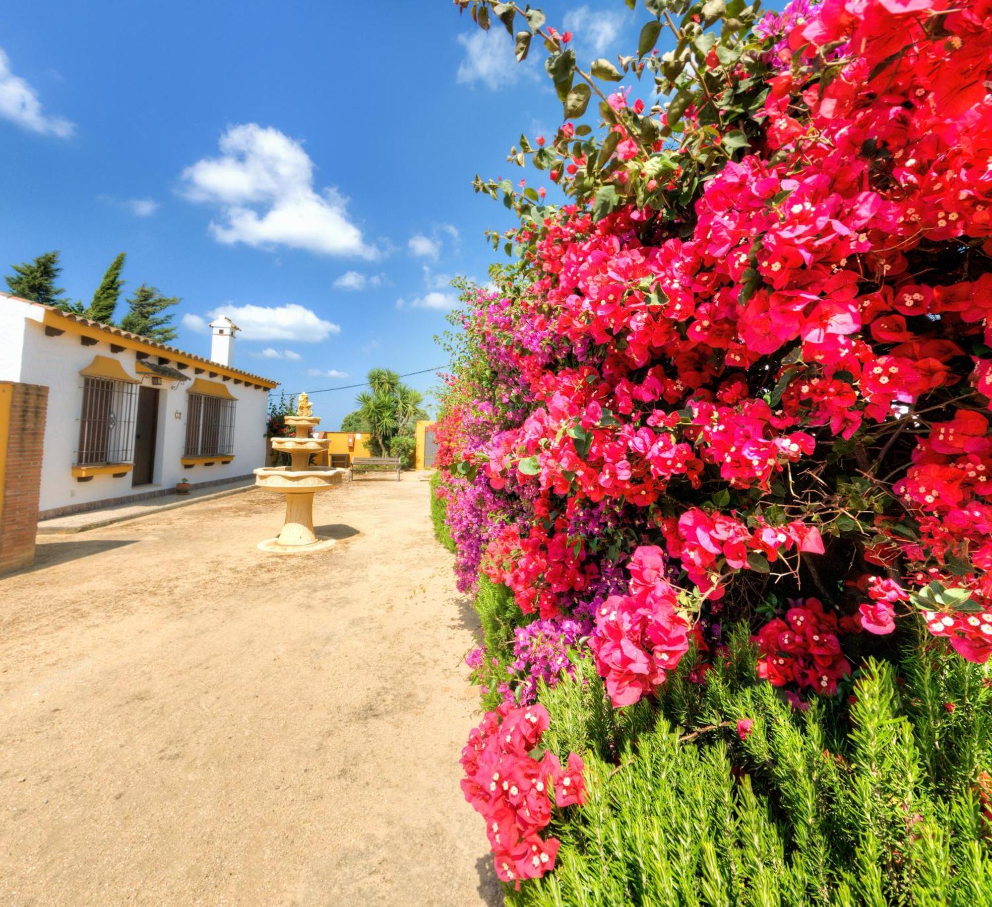 كونيل ذي لا فرونتيرا Hacienda Los Majadales المظهر الخارجي الصورة